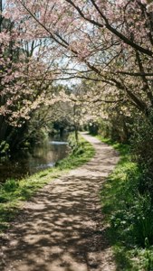 Bendigo Spring Creek