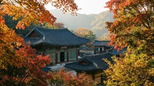 Beomeosa Autumn Colors