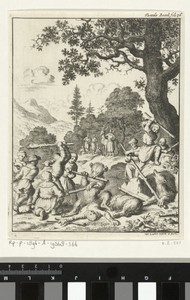 Berenjacht met knotsen