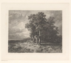 Berglandschap bij een Zwitsers meer
