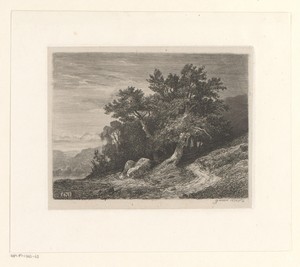 Berglandschap met bomen aan een meer