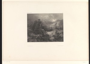 Berglandschap met bomen en beek