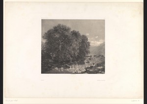 Berglandschap met bomen en een meer