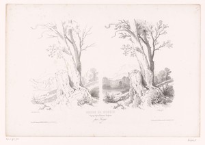 Berglandschap met bomen en meer