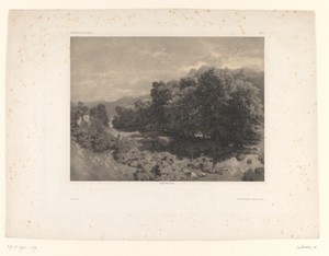 Berglandschap met bos