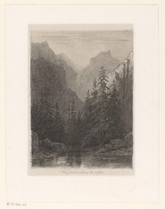 Berglandschap met dennenbomen aan een meer