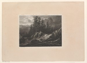 Berglandschap met dennenbomen bij een cascade