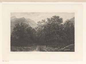 Berglandschap met loofbomen bij een waterplaats
