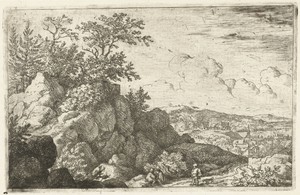 Berglandschap met man en hond