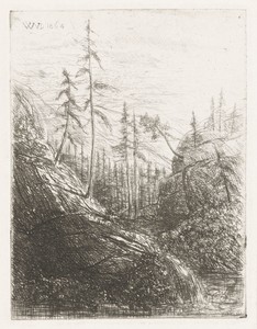 Berglandschap met naaldbomen en beek
