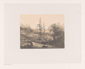 Berglandschap met sparren en beek
