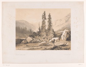 Berglandschap met sparren en berggeiten