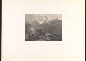 Berglandschap met struiken en afgrond