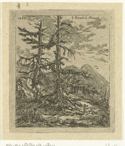 Berglandschap met twee sparren