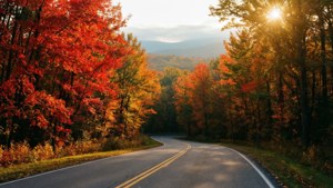 Berkshires Fall Foliage