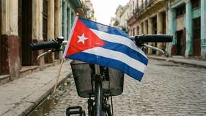 Bicycle with Flag