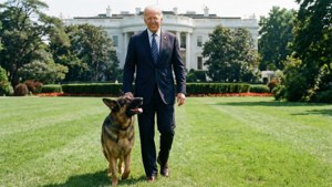 Biden and Dog Walk