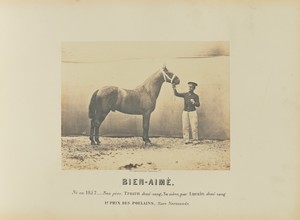 Bien-Aimé