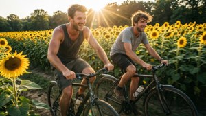 Bike Ride Through Sunflowers