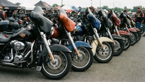 Biker Rally Lineup