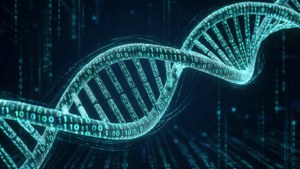 Binary DNA Code