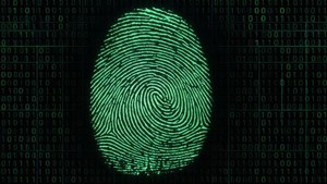 Binary Fingerprint