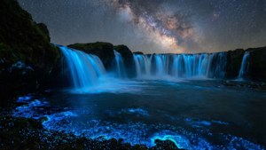 Bioluminescent Night Falls
