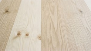Birch Veneer Abstract