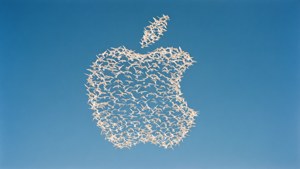 Bird Flight Apple