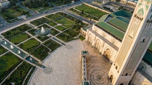 Bird's Eye Complex
