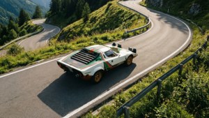 Bird's Eye Rally