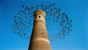 Birds Circling Burana Tower