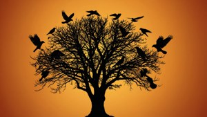 Birds Flying Family Tree