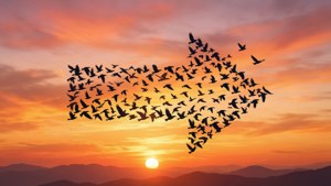 Birds Form Back Arrow Sunset