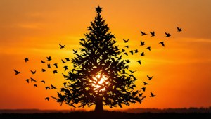 Birds Form Tree