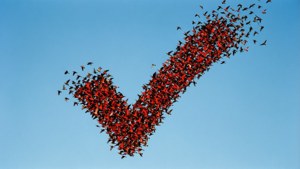 Birds Forming Checkmark
