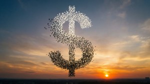Birds Forming Dollar Sign
