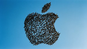Birds in Flight Apple