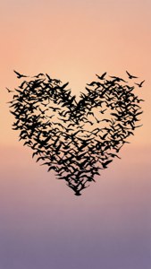 Birds in Flight Heart