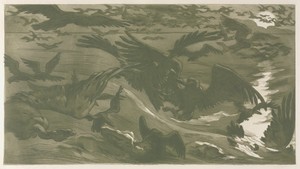 Birds of Prey