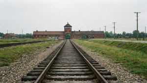 Birkenau Panorama