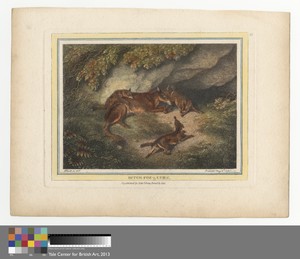 Bitch Fox and Cubs