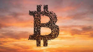 Bitcoin Birds