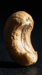 Bitten Cashew Closeup