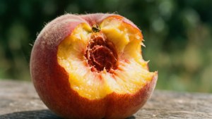 Bitten Peach Outdoors