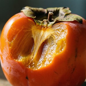 Bitten Persimmon Close-up