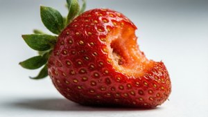 Bitten Strawberry Macro