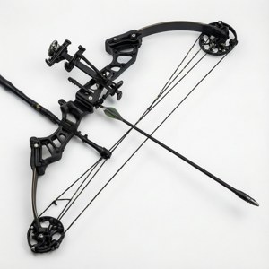 Black Compound Bow