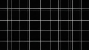 Black Grid Lines