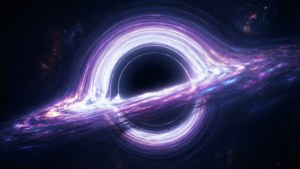 Black Hole Muse
